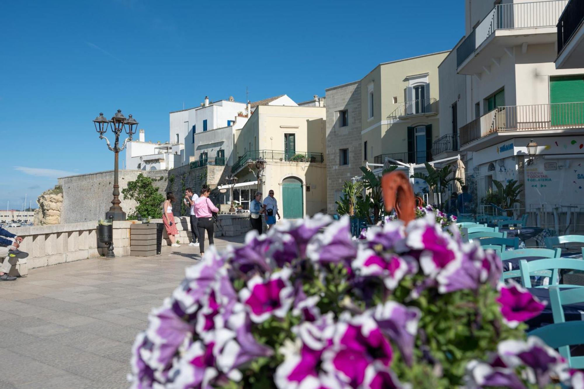 Riva Mediterranea Holiday home Otranto